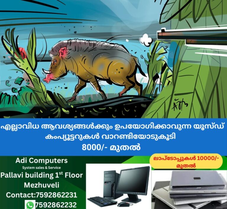 newskerala.net_1758531268_alappuzha-wild-boar