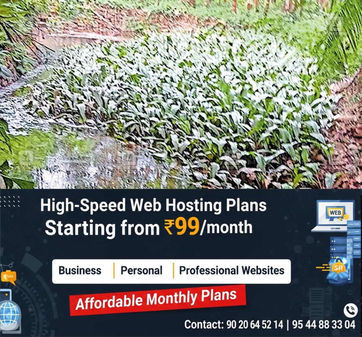 newskerala.net_1758604383_pta-ranni-moss-threat