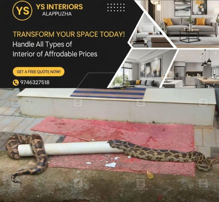 newskerala.net_1758621972_Python