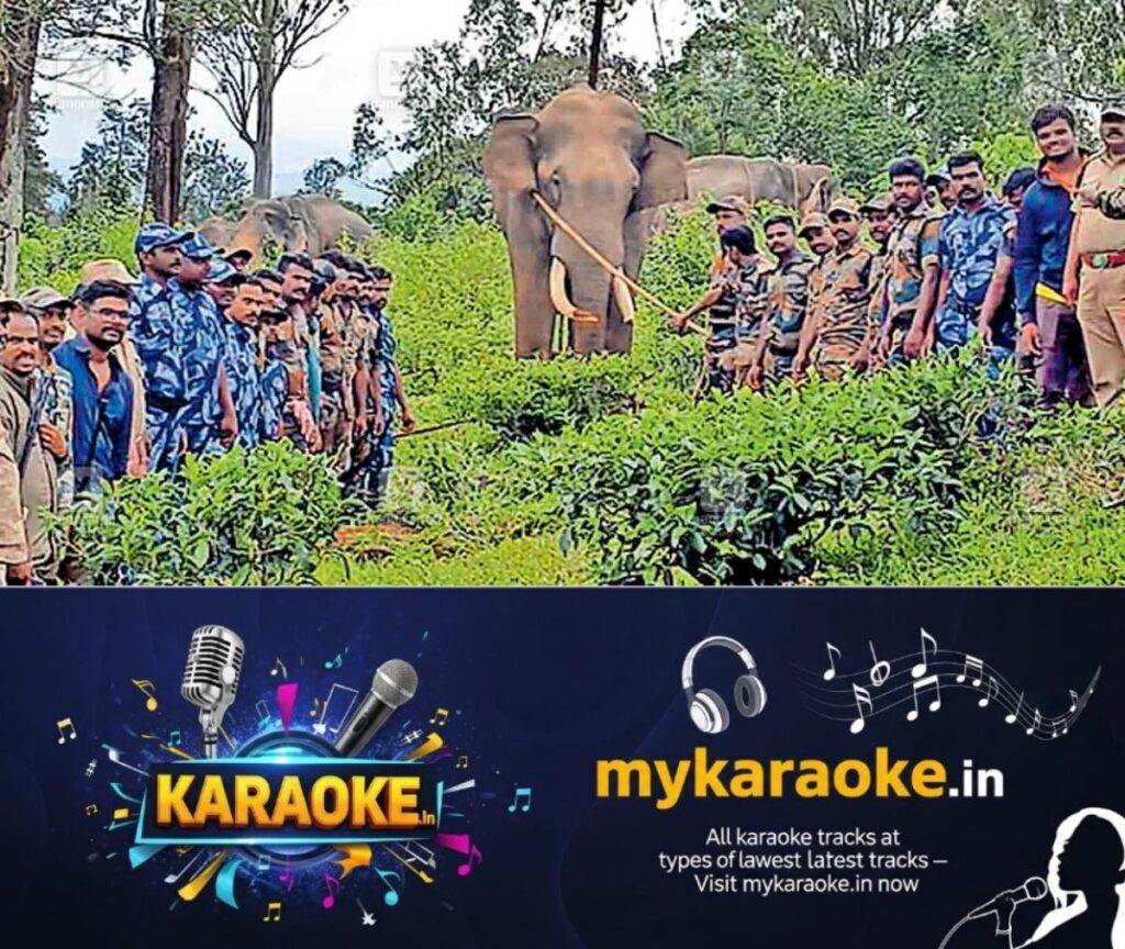 newskerala.net_1758657490_gudalur-killer-elephant01