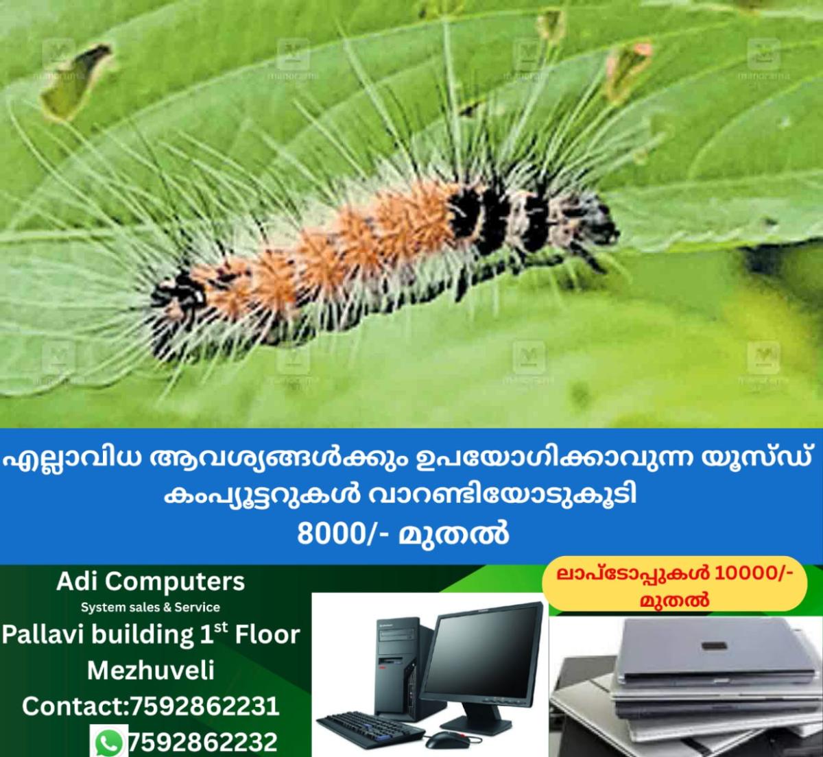 newskerala.net_1758703328_thrissur-temple-area-issue