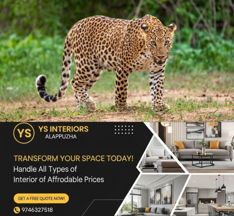 newskerala.net_1758746184_male-leopard-110801