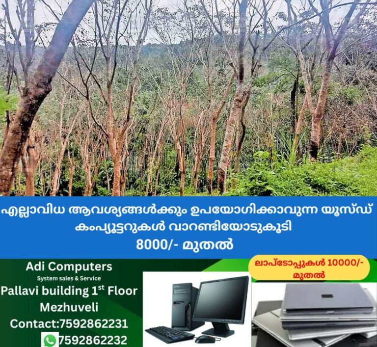 newskerala.net_1758786022_kasargod-rubber-plantation