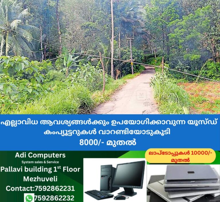 newskerala.net_1758799566_POWER-LINE