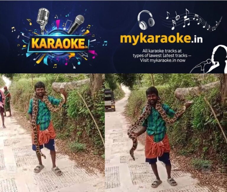 newskerala.net_1758810624_attappadi-snake-video-1