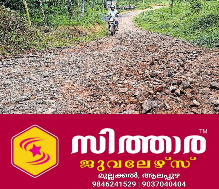 newskerala.net_1758861303_panachikunnu-road
