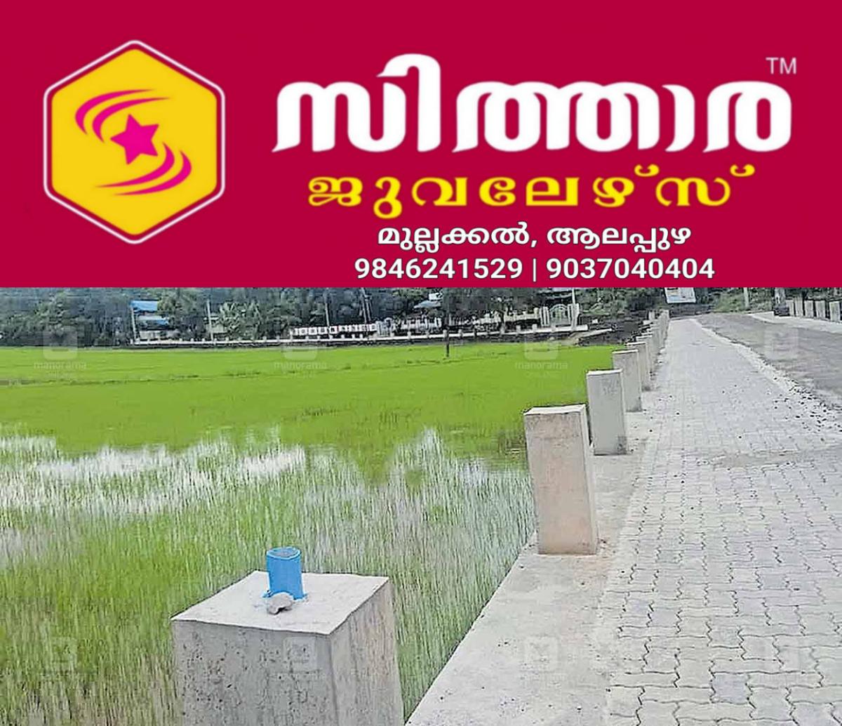 newskerala.net_1758867246_solar-light-issue