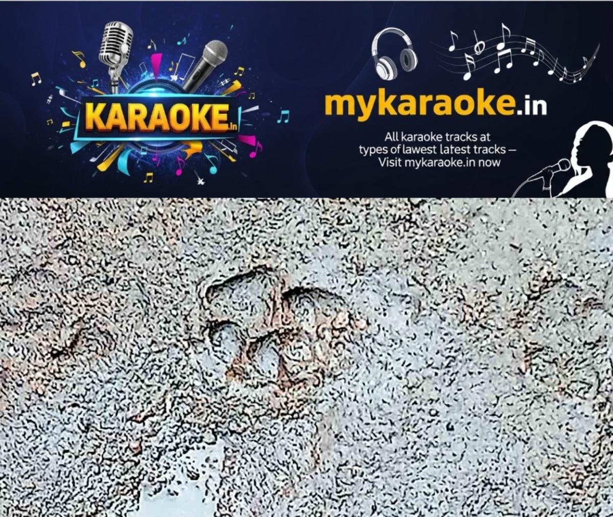 newskerala.net_1758873742_palakkad-ottapalam-suspected-leopard-footprints