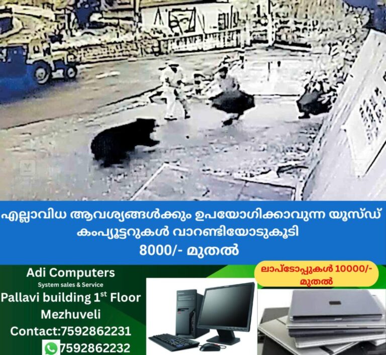 newskerala.net_1758875784_palakkad-bear-attack-valparai
