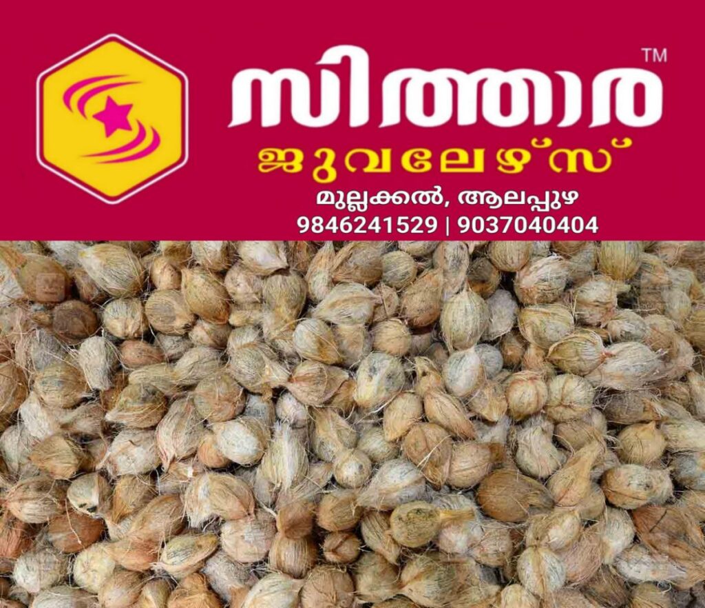 newskerala.net_1758888505_coconut