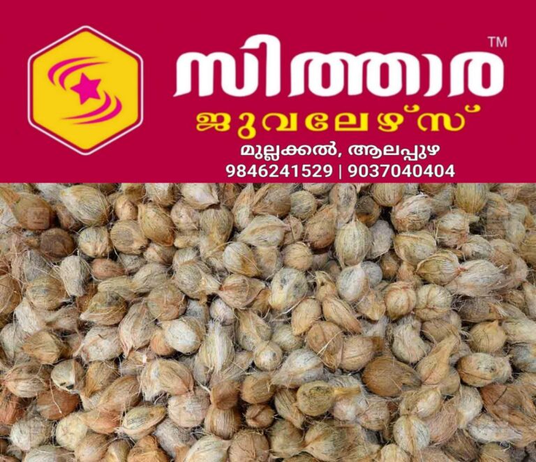 newskerala.net_1758888505_coconut