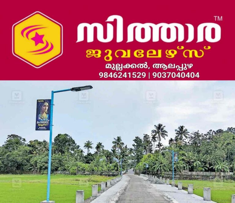 newskerala.net_1758955443_solar-lights