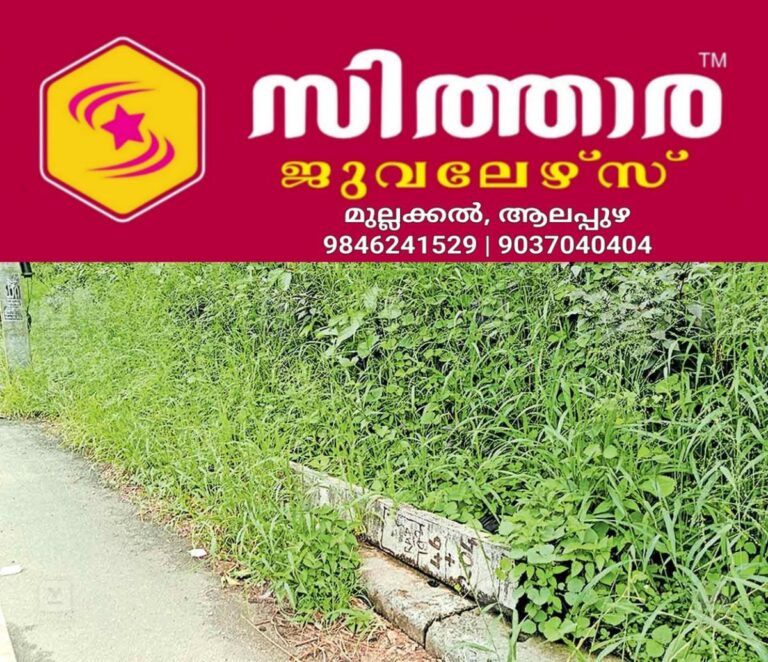 newskerala.net_1758959423_ranni-road-issue