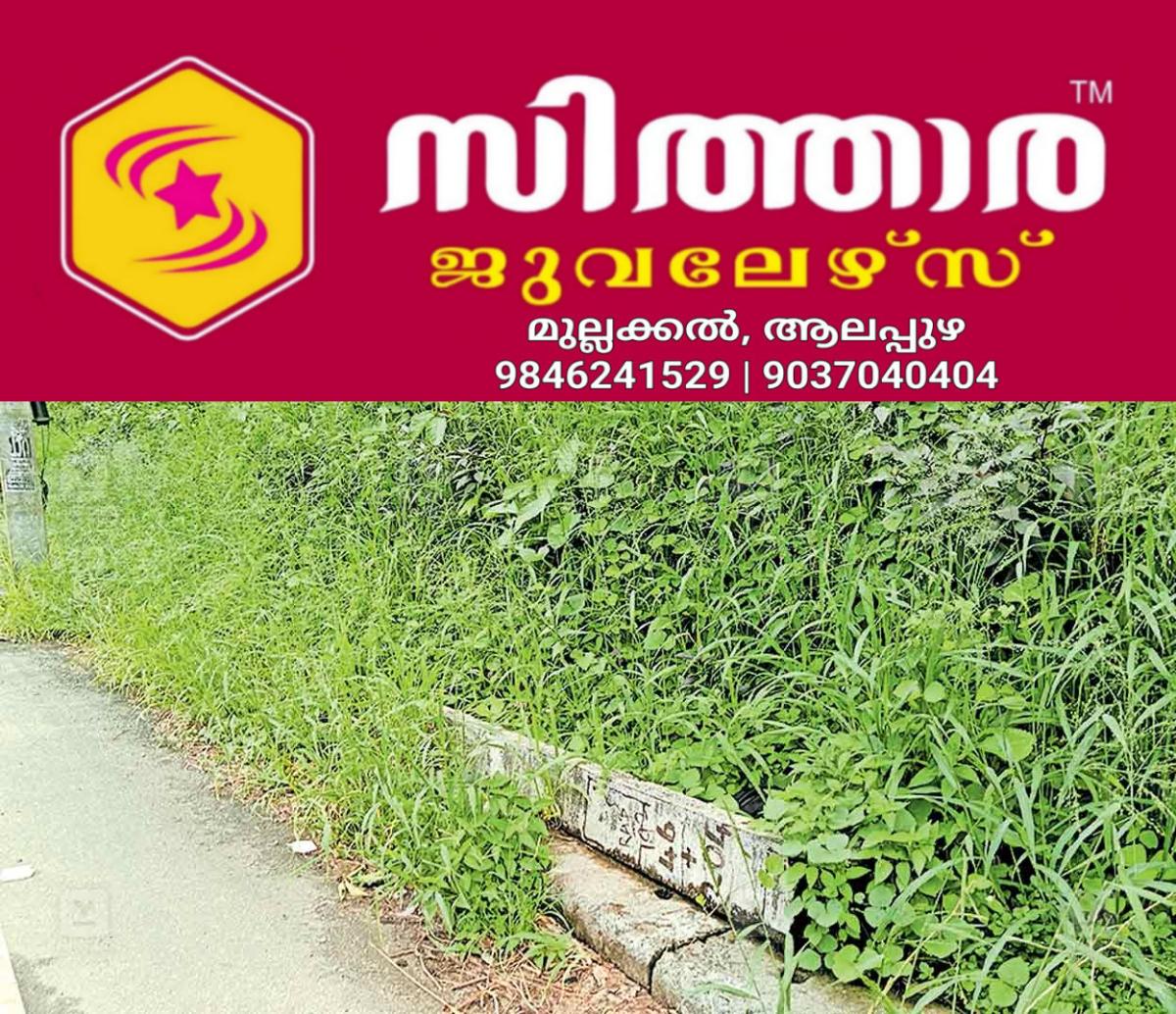 newskerala.net_1758959423_ranni-road-issue