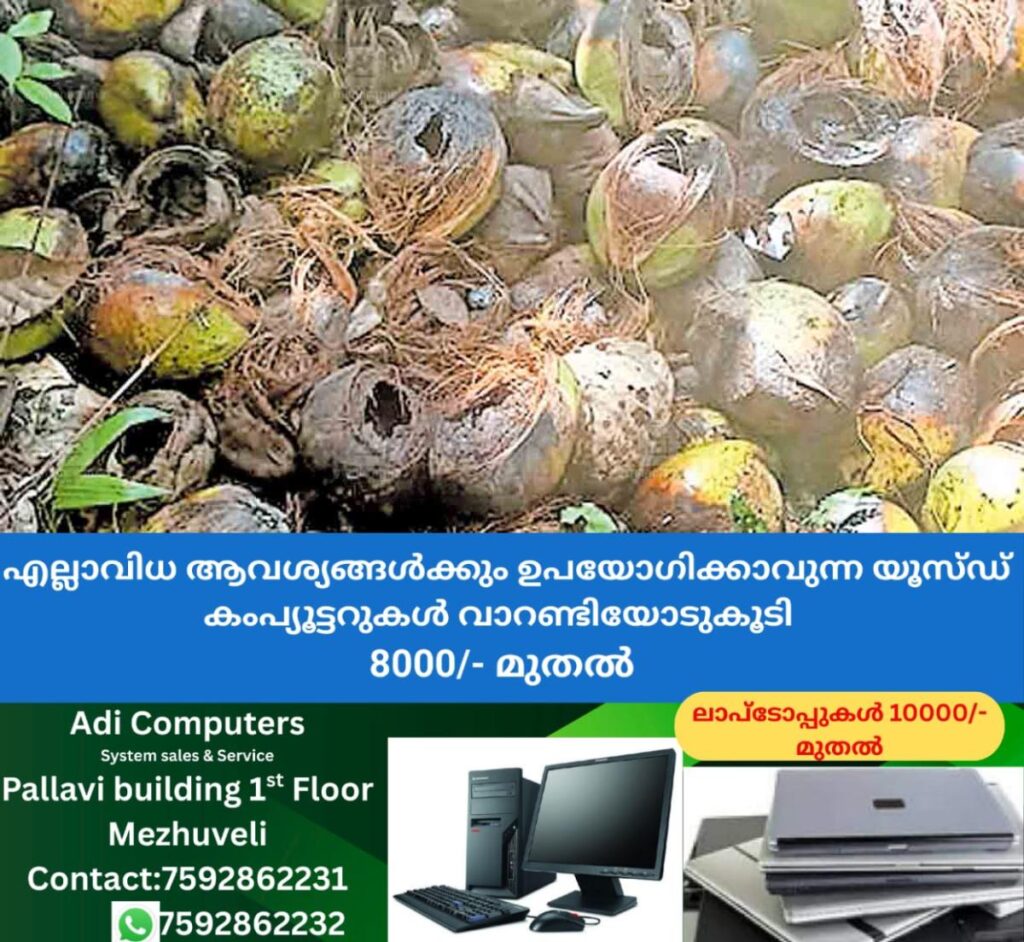 newskerala.net_1758962102_kozhikode-monkeys-issue