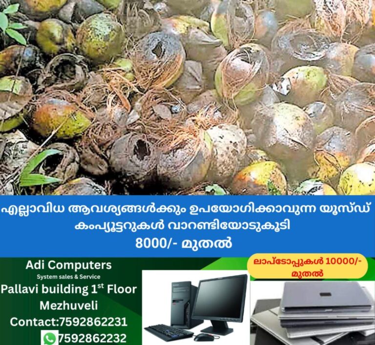 newskerala.net_1758962102_kozhikode-monkeys-issue