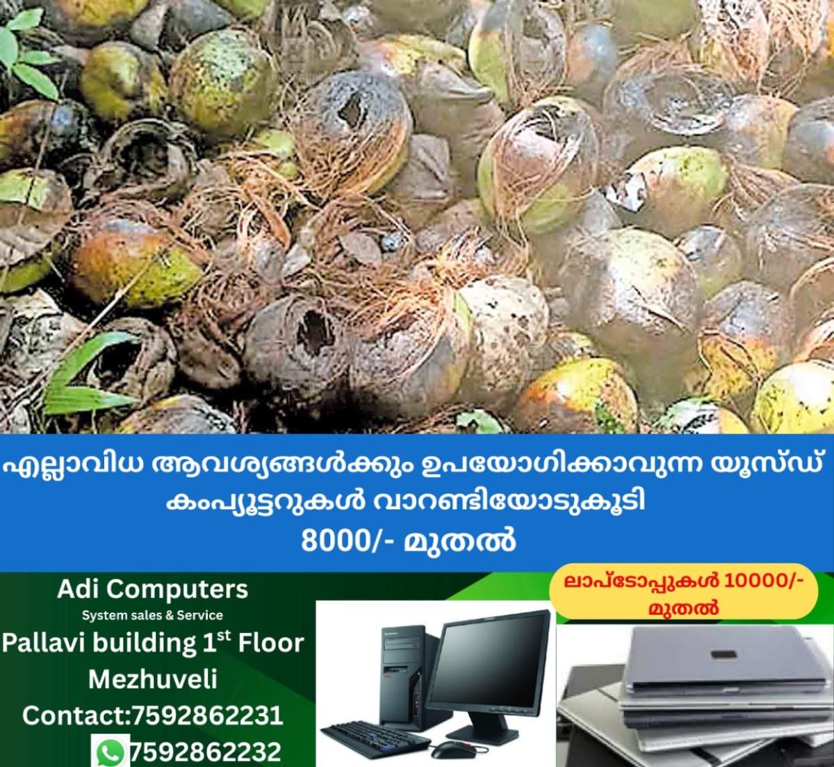 newskerala.net_1758962102_kozhikode-monkeys-issue