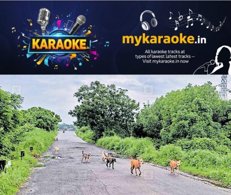 newskerala.net_1758964344_1758964228_stray-dogs