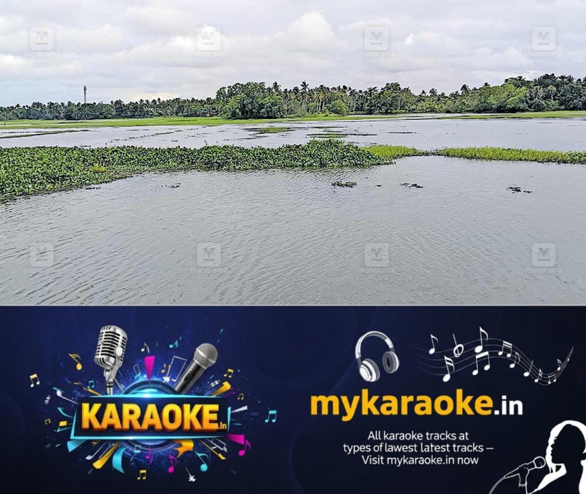 newskerala.net_1758968065_ettumana-padavu