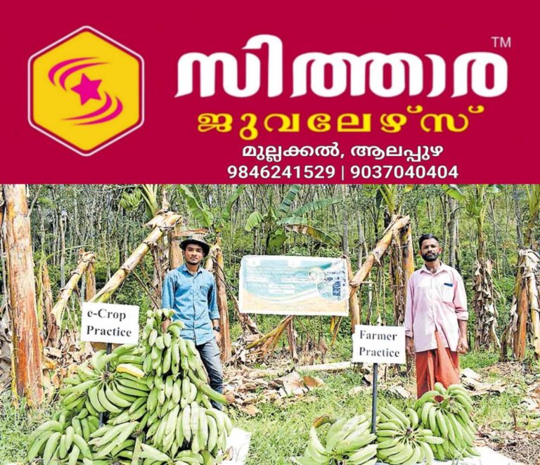 newskerala.net_1759003142_panavur-smart-farming-1