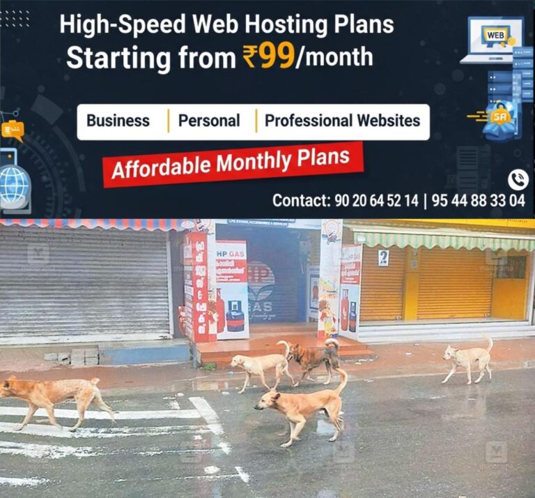 newskerala.net_1759005026_street-dogs