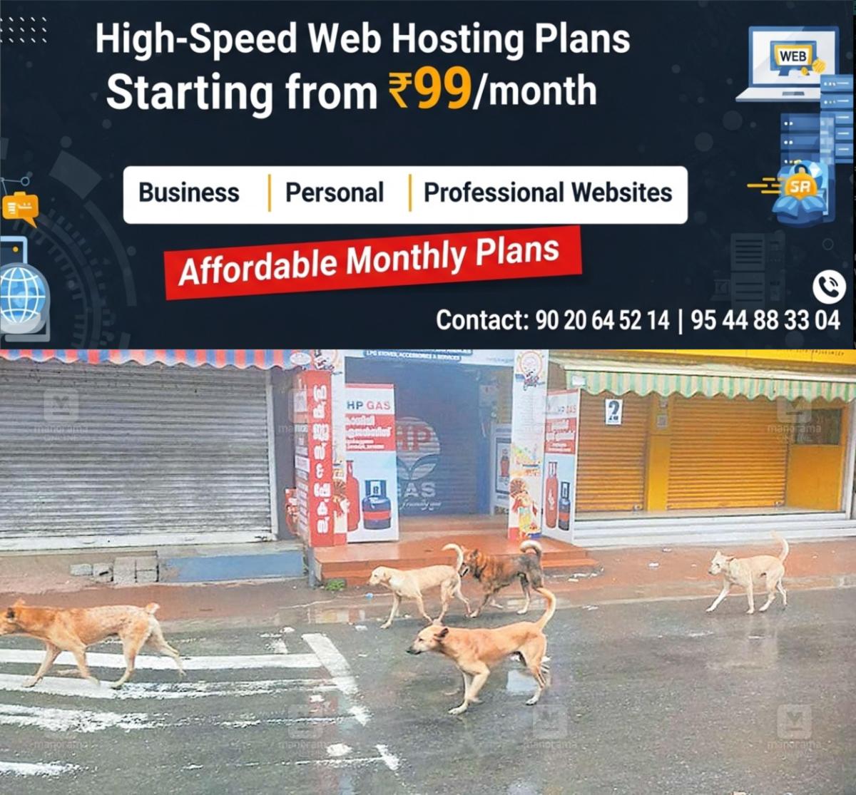newskerala.net_1759005026_street-dogs