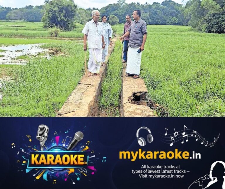 newskerala.net_1759028785_irrigation-canal-failure-kerala