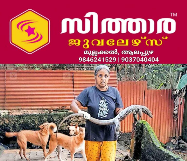 newskerala.net_1759123572_ernakulam-ambili-purackal