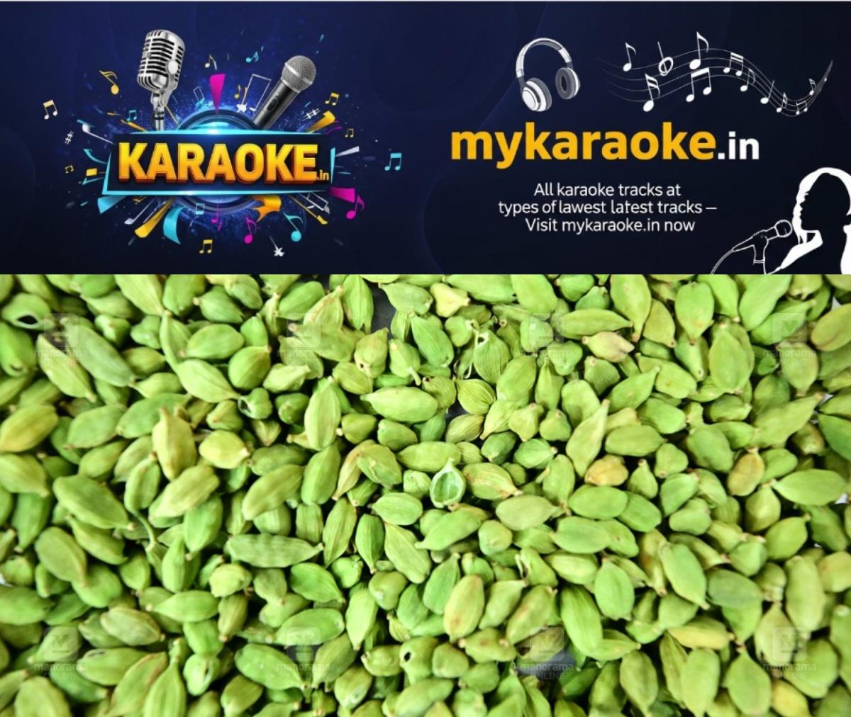 newskerala.net_1759125607_cardamom-1