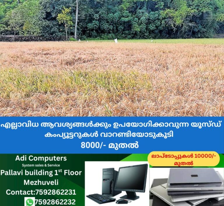 newskerala.net_1759130185_kollankode-kuniserry-paddy-fields-1