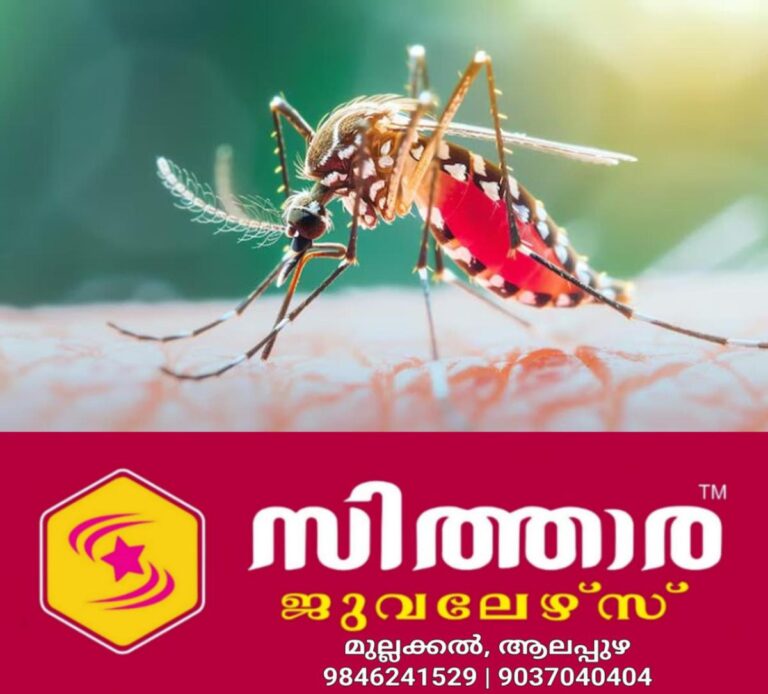 newskerala.net_1759133104_w-1280h-720format-jpgimgid-01jsp1dq7t1tgwcmvrpq9tavcpimgname-how-to-detect-malaria-in-infants-17