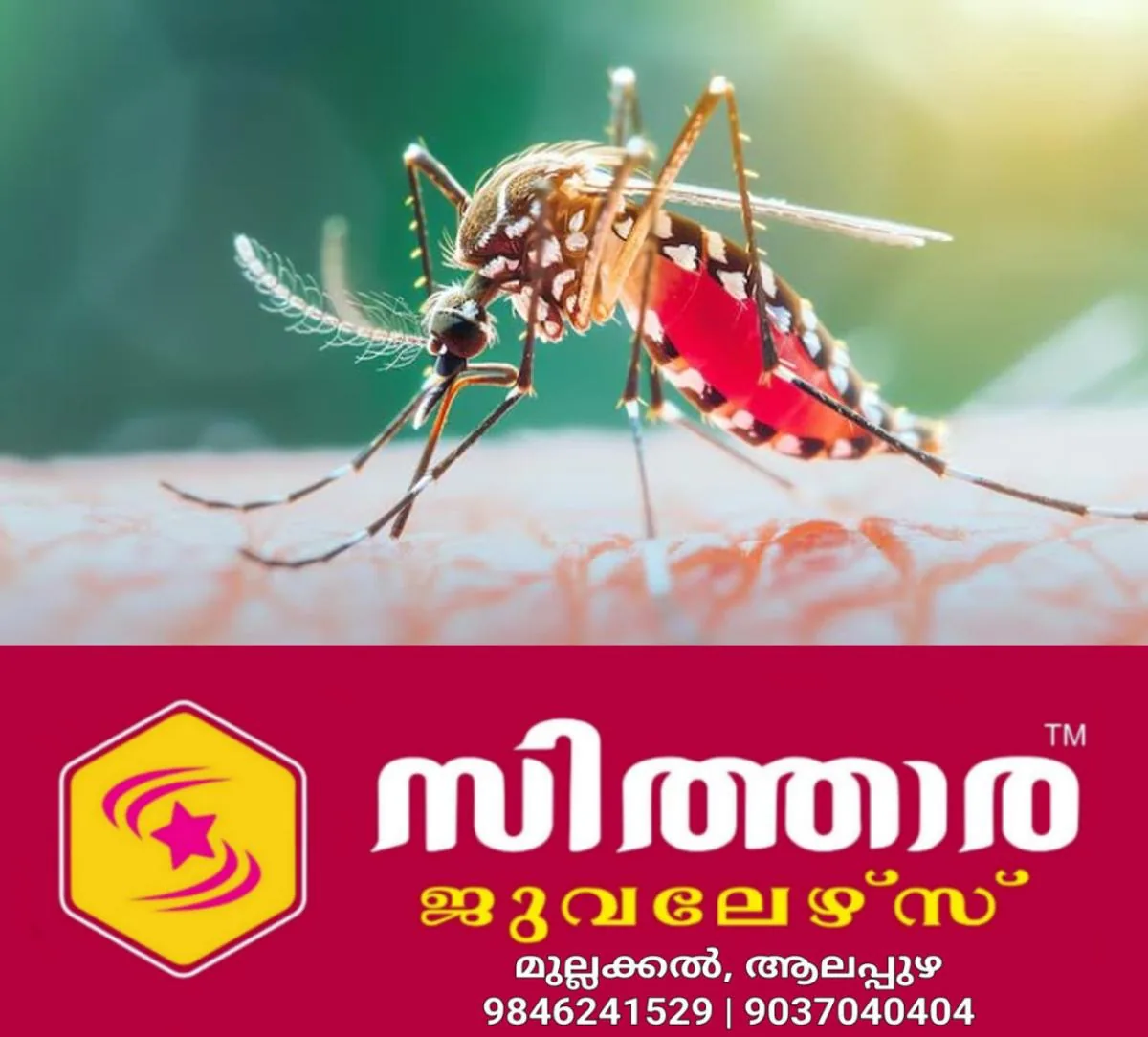 newskerala.net_1759133104_w-1280h-720format-jpgimgid-01jsp1dq7t1tgwcmvrpq9tavcpimgname-how-to-detect-malaria-in-infants-17