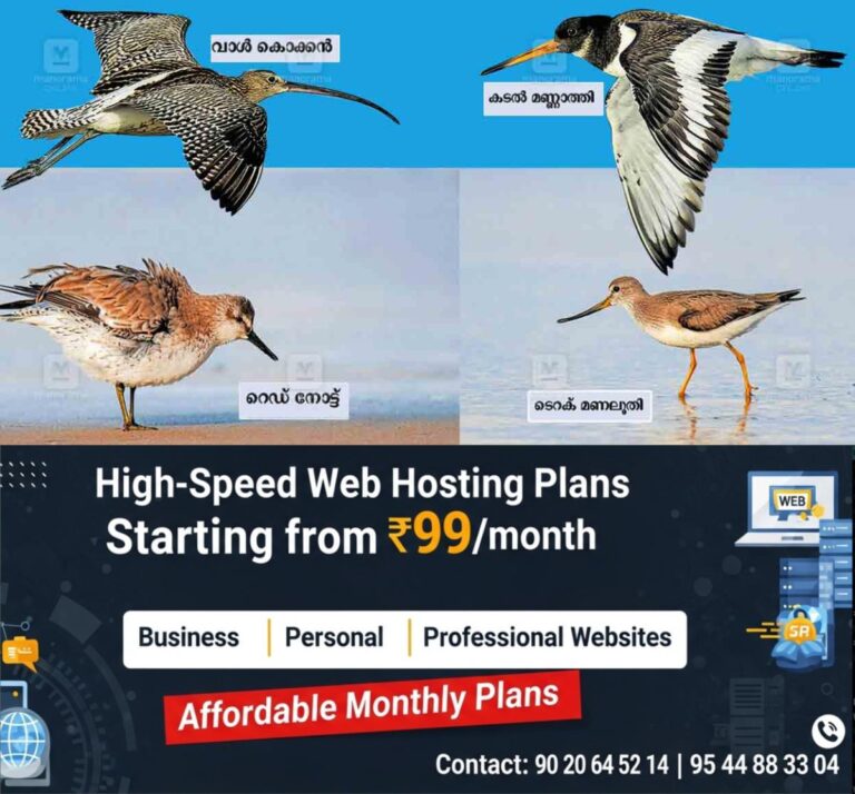 newskerala.net_1759207083_rare-bird-species