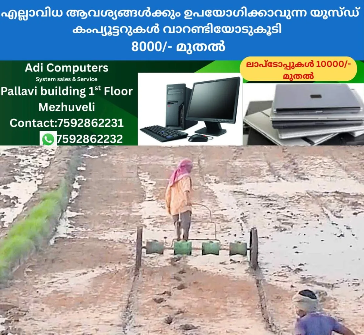 newskerala.net_1759209866_venkidang-drem-seed