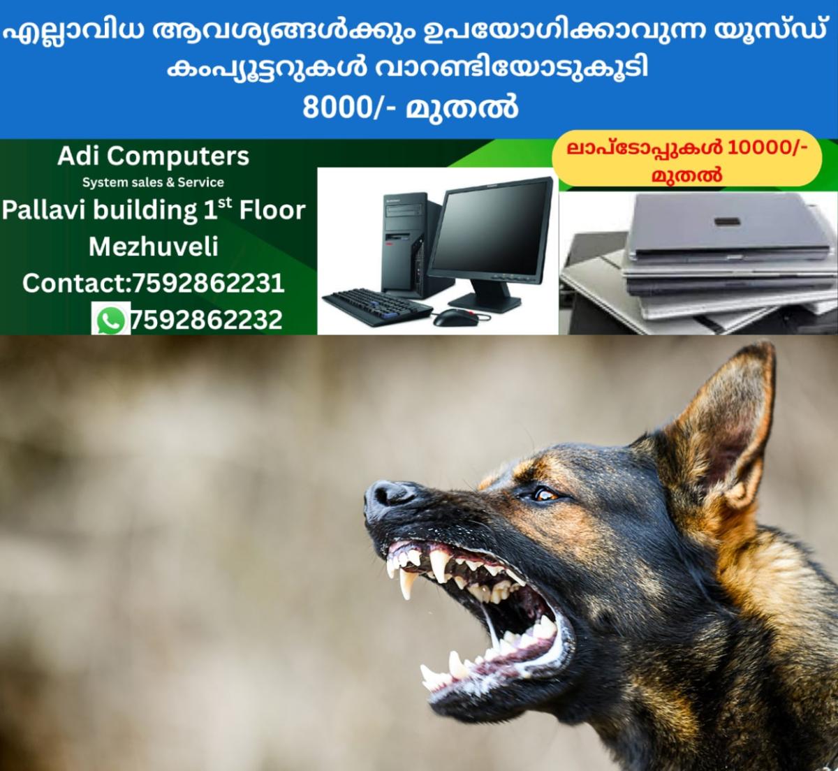 newskerala.net_1759213622_dog-bites-rabies-death-milan-Krasula-istockphoto