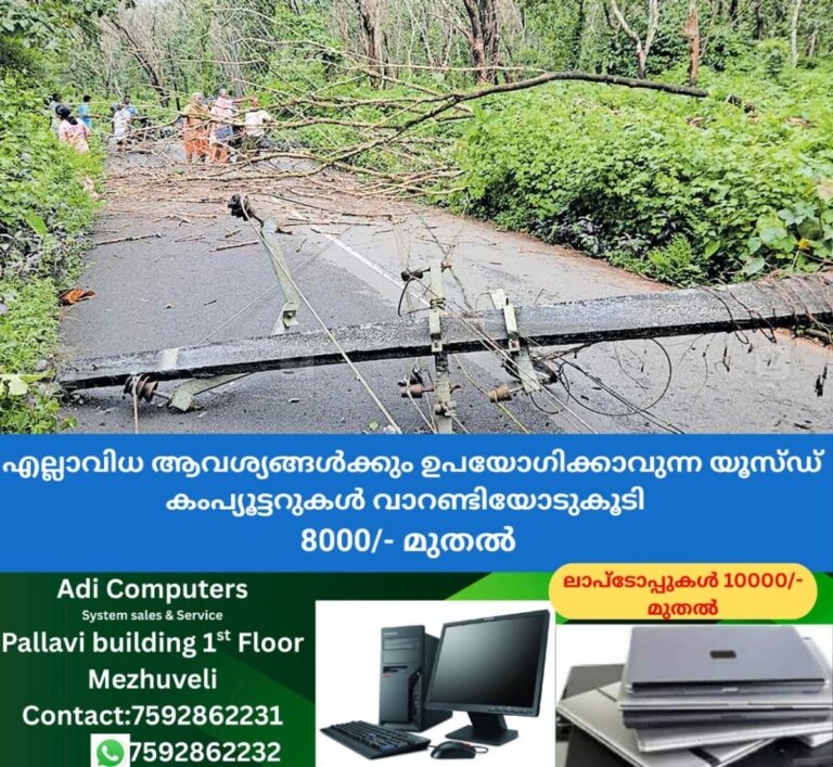 newskerala.net_1759214550_cherupuzha-electric-post
