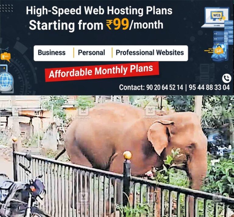 newskerala.net_1759216504_1759216349_gudalur-wild-elephant