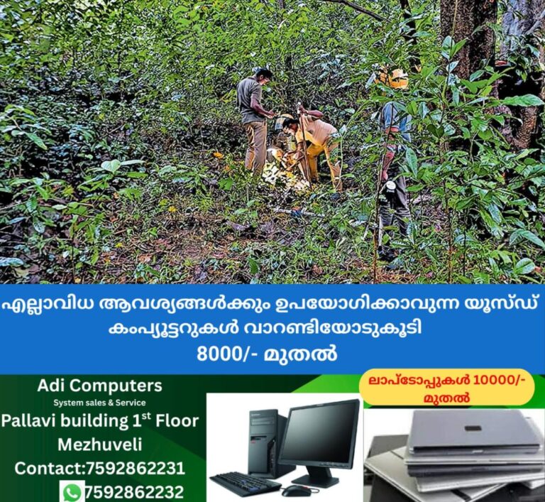 newskerala.net_1759216588_angadikadav-tiger