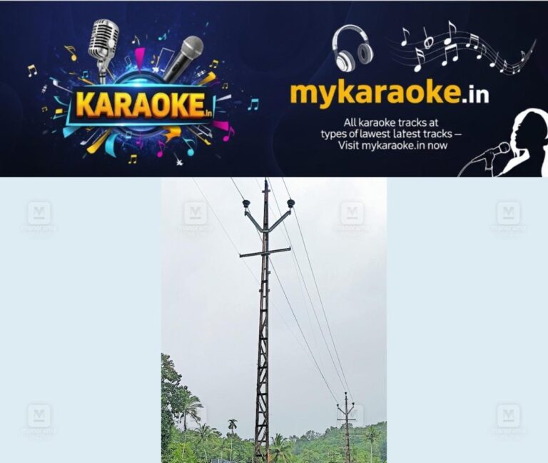 newskerala.net_1759222263_pta-ranni-electric-post