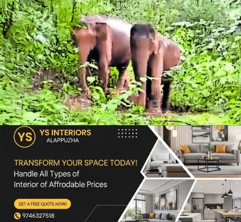 newskerala.net_1759224251_pta-seethathodu-wild-elephant-1