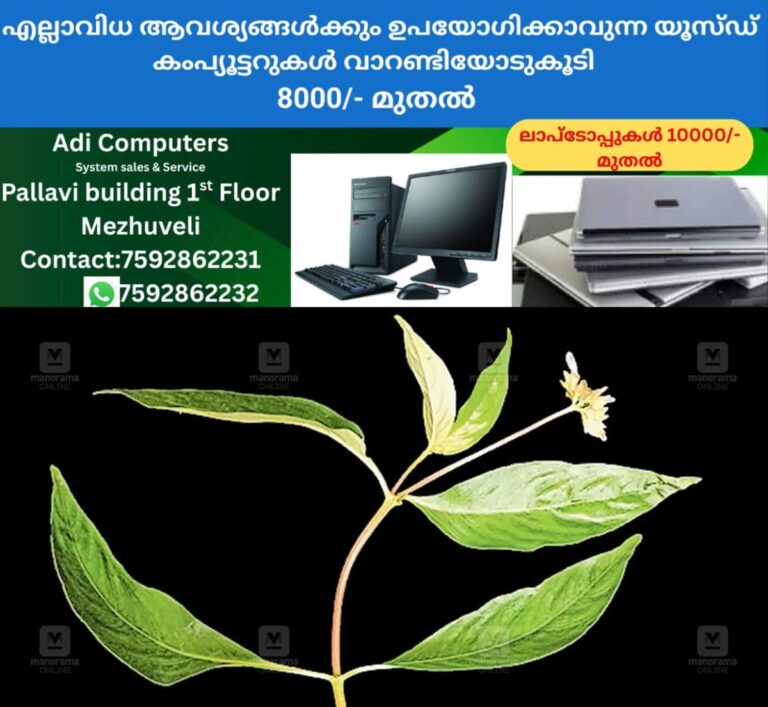 newskerala.net_1759228587_plant
