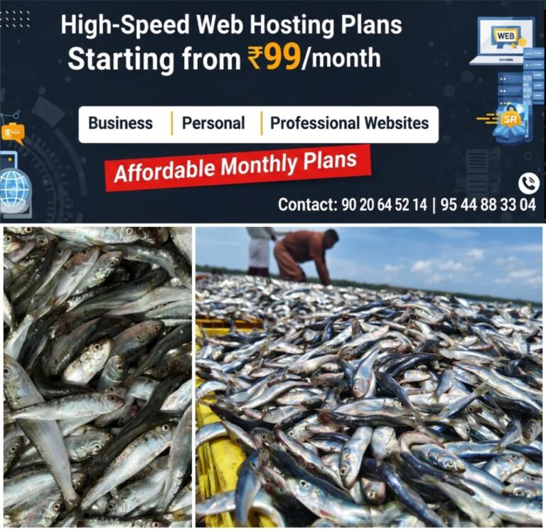 newskerala.net_1759229884_w-1280h-720format-jpgimgid-01k6d3x9gw5x2a5vdnymg3jh12imgname-sardines-1759229421084