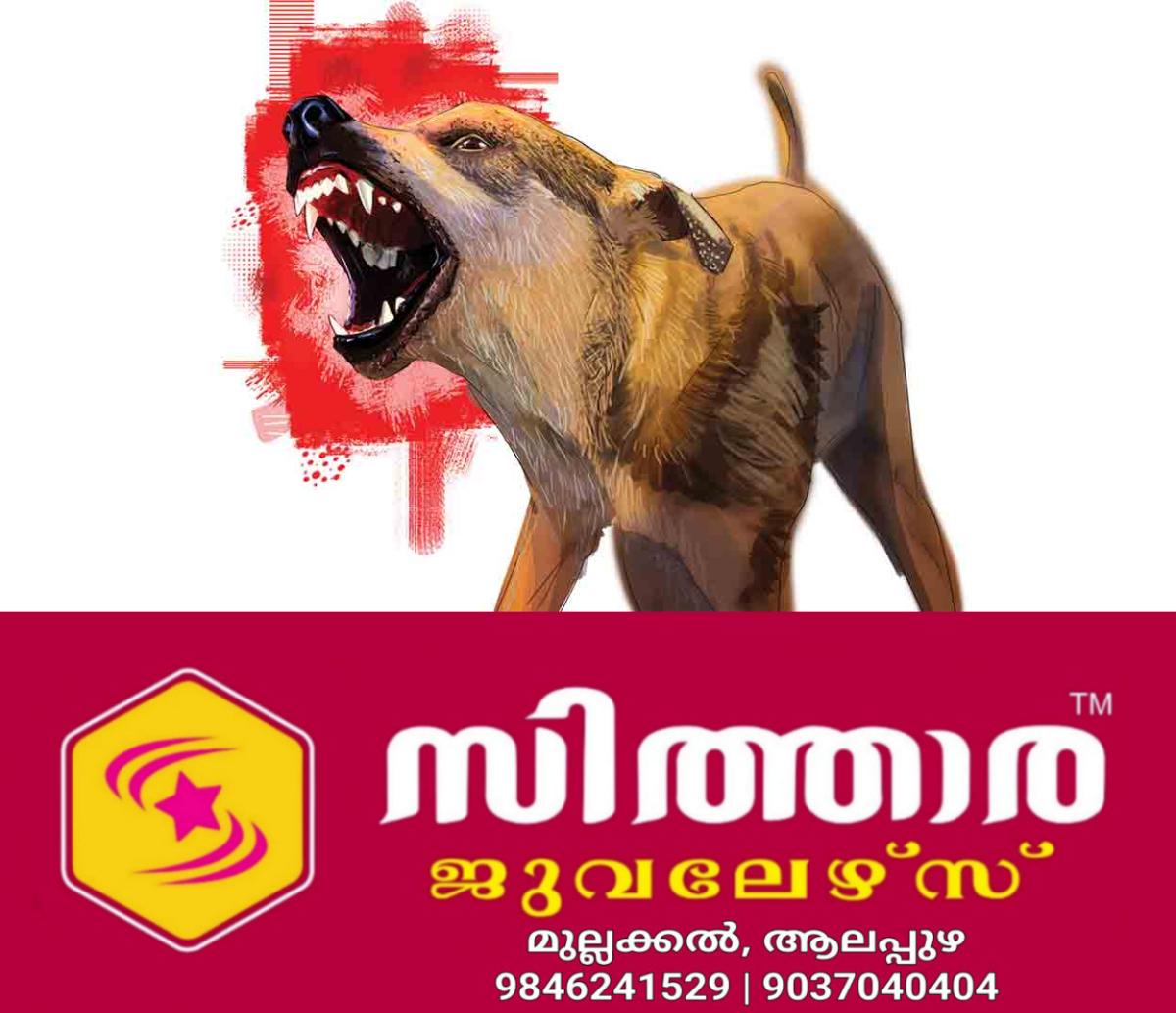 newskerala.net_1759230985_stray-dog-cartoon-new