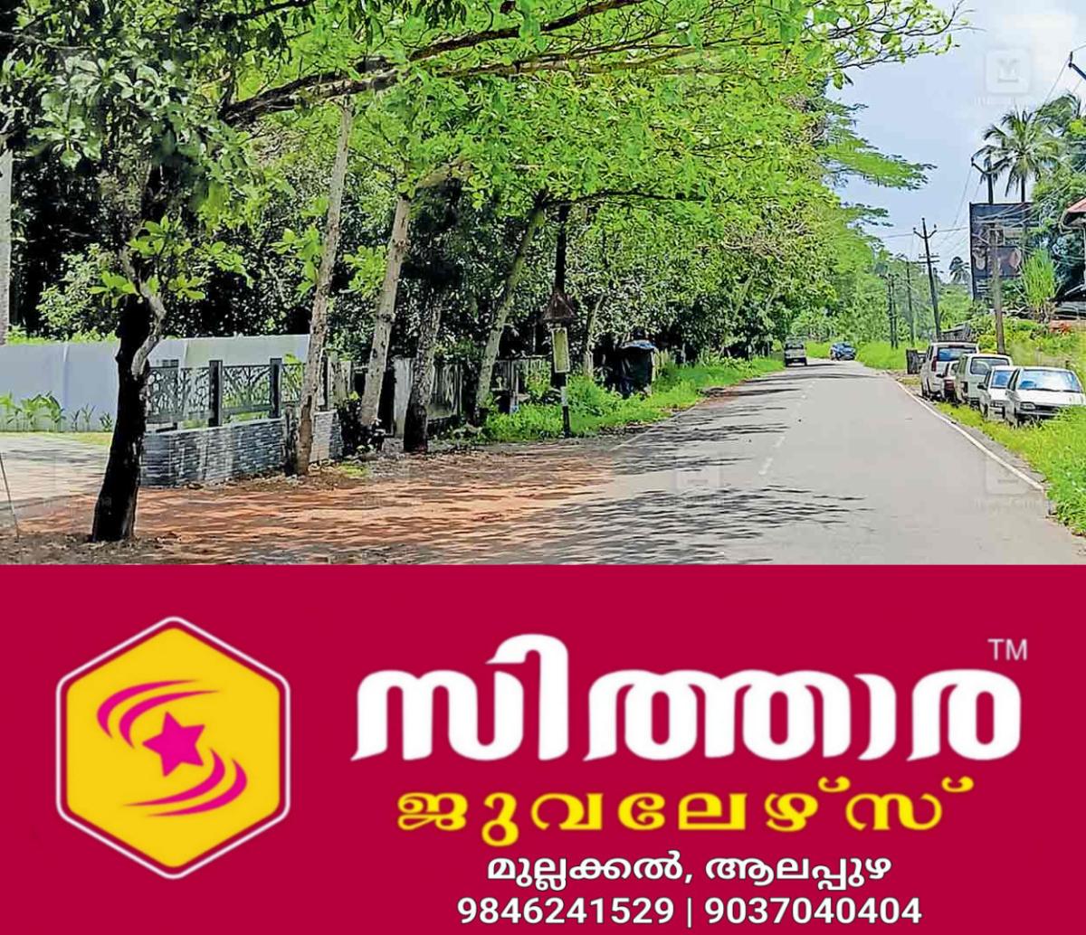 newskerala.net_1759234945_1759234824_tree