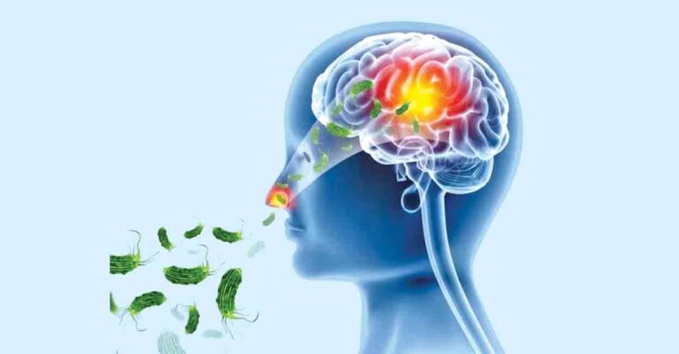 palakkad-amebic-encephalitis.jpg