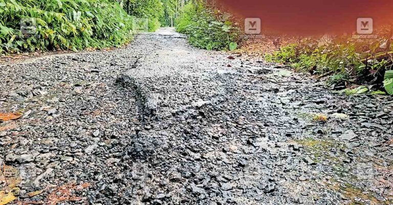 panacheppalli-malabar-kavala-road.jpg
