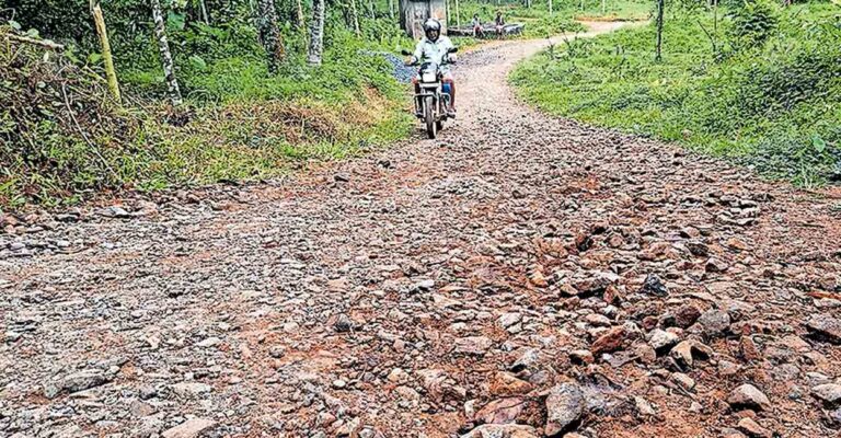 panachikunnu-road.jpg