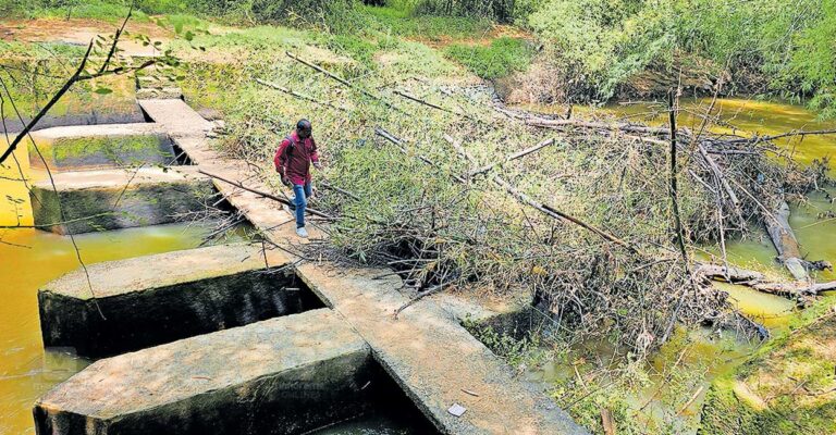 panamaram-river-waste.jpg