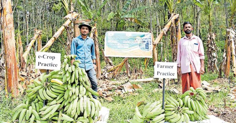 panavur-smart-farming-1.jpg