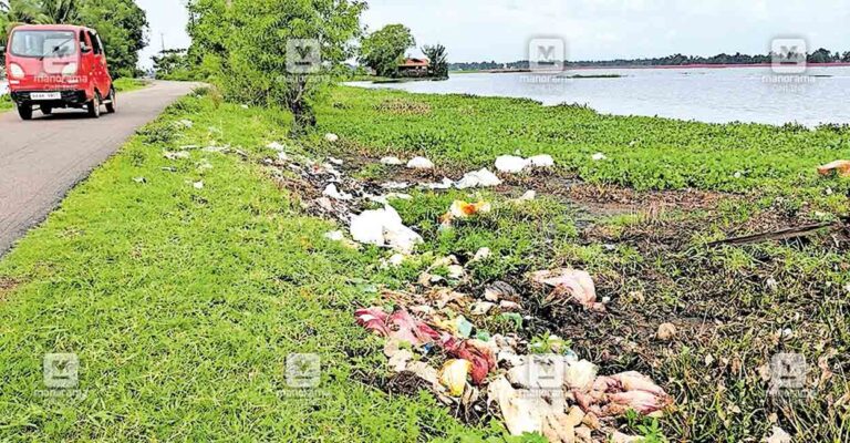 paral-paadi-waste-dumping.jpg